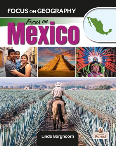 Book cover of FOCUS ON MEXICO
