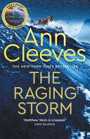 Book cover of RAGING STORM
