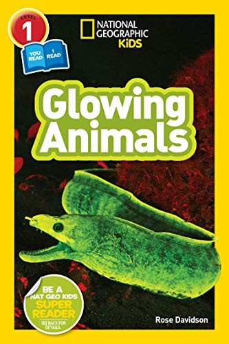 Book cover of NG READERS - GLOWING ANIMALS