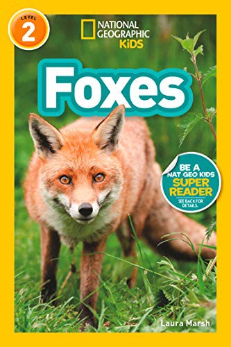 Book cover of NG READERS - FOXES