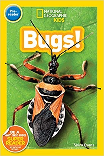 Book cover of NG READERS - BUGS