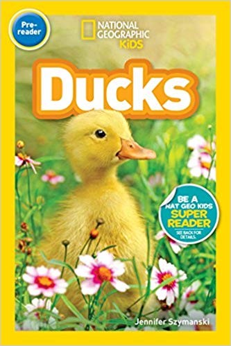 Book cover of NG READERS - DUCKS