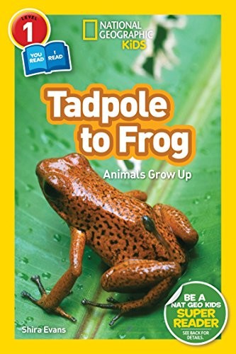 Book cover of NG READERS - TADPOLE TO FROG