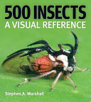 Book cover of 500 INSECTS