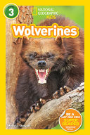 Book cover of NG READERS - WOLVERINES