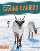 Book cover of SAVING CARIBOU