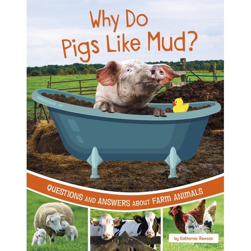 Book cover of FARM EXPLORER - WHY DO PIGS LIKE MUD