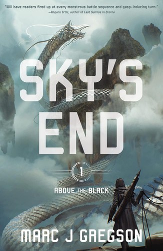 Book cover of ABOVE THE BLACK 01 SKY'S END