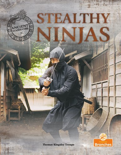 Book cover of ANCIENT WARRIORS - STEALTHY NINJAS