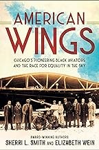 Book cover of AMER WINGS - CHICAGO'S PIONEERING BLACK 