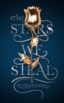 Book cover of STARS WE STEAL