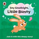 Book cover of SAY GOODNIGHT LITTLE BUNNY