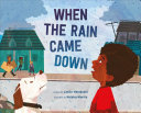 Book cover of WHEN THE RAIN CAME DOWN