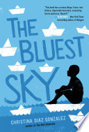 Book cover of BLUEST SKY