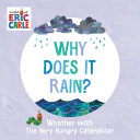 Book cover of WHY DOES IT RAIN