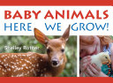 Book cover of BABY ANIMALS