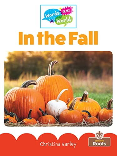 Book cover of IN THE FALL