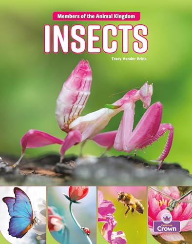 Book cover of INSECTS