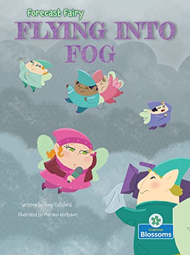 Book cover of FORECAST FAIRY - FLYING INTO FOG
