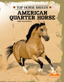 Book cover of TOP HORSE BREEDS - AMER QUARTER HORS