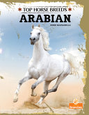 Book cover of TOP HORSE BREEDS - ARABIAN