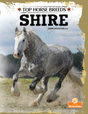 Book cover of TOP HORSE BREEDS - SHIRE