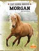 Book cover of TOP HORSE BREEDS - MORGAN