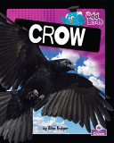 Book cover of ODD BIRDS - CROW