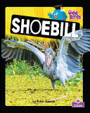 Book cover of ODD BIRDS - SHOEBILL