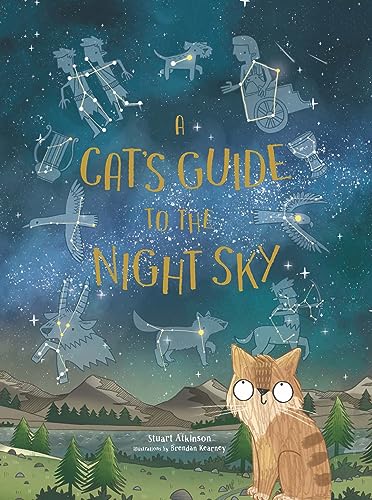 Book cover of CAT'S GT THE NIGHT SKY