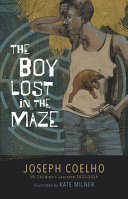 Book cover of BOY LOST IN THE MAZE