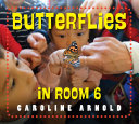 Book cover of BUTTERFLIES IN ROOM 6