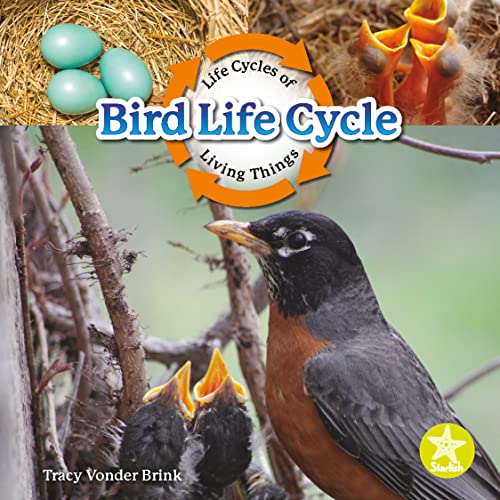 Book cover of BIRD LIFE CYCLE
