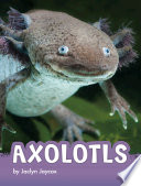 Book cover of AXOLOTLS