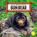Book cover of SUN BEAR