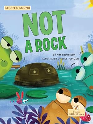 Book cover of NOT A ROCK