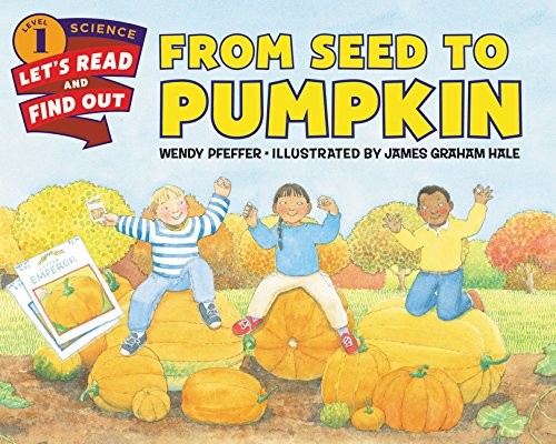 Book cover of FROM SEED TO PUMPKIN
