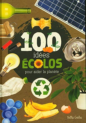 Book cover of 100 IDEES ECOLOS POUR AIDER LA PLANETE