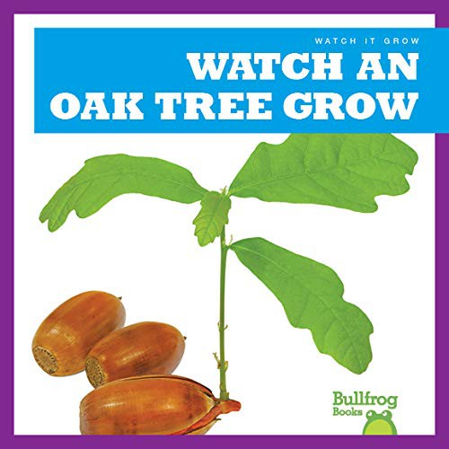 Book cover of WATCH AN OAK TREE GROW