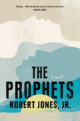 Book cover of PROPHETS