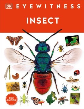 Book cover of EYEWITNESS - INSECT