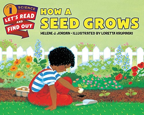 Book cover of HOW A SEED GROWS