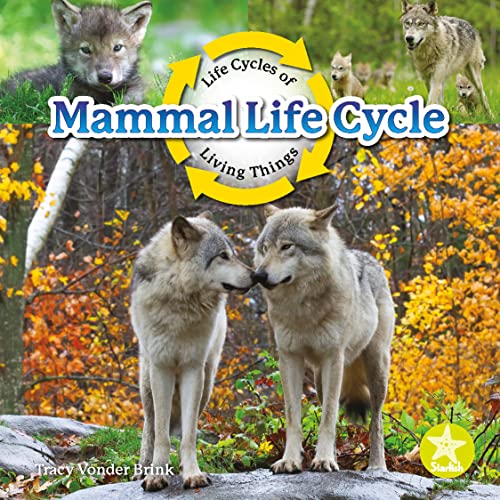 Book cover of MAMMAL LIFE CYCLE