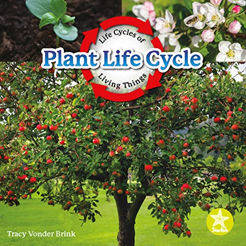 Book cover of PLANT LIFE CYCLE