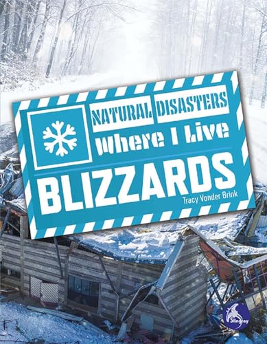 Book cover of BLIZZARDS