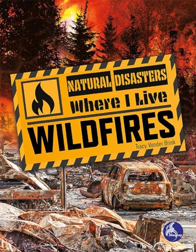 Book cover of WILDFIRES
