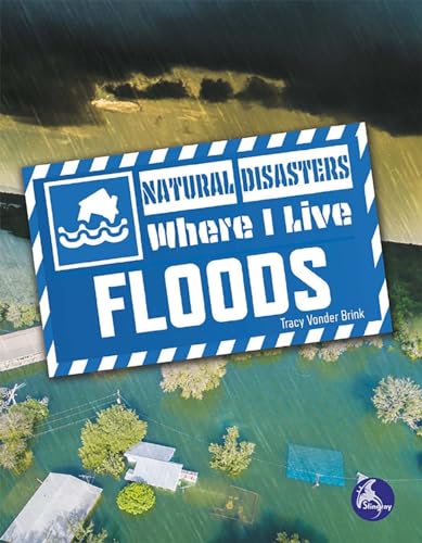 Book cover of FLOODS