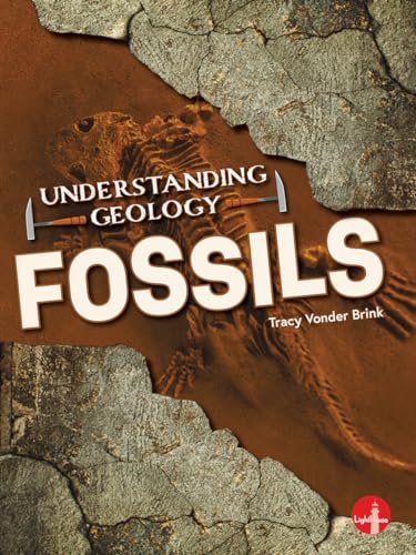 Book cover of FOSSILS