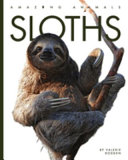 Book cover of SLOTHS - AMAZING ANIMALS