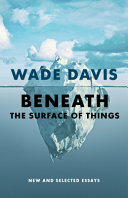 Book cover of BENEATH THE SURFACE OF THINGS
